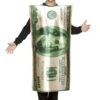 100 Dollar Bill Costume