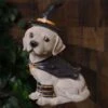 Dog With Witch Hat 11.5" Figure