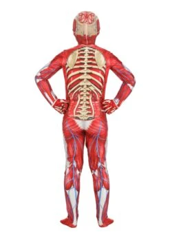 Anatomical Model Costume For Kids -Halloween Night Deals Store body skeleton costume alt 1