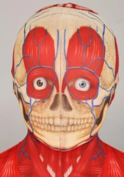 Anatomical Model Costume For Kids -Halloween Night Deals Store body skeleton costume alt 2