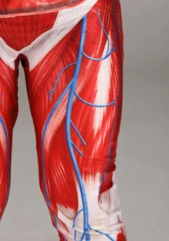 Anatomical Model Costume For Kids -Halloween Night Deals Store body skeleton costume alt 7