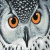 Crafting Spark (Wizardi) - Owl's Look WD243 14.9 X 10.6 Inches Wizardi Diamond Painting Kit