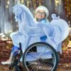 Disguise Adaptive Frozen Ice Nokk Wheelchair Cover Costume