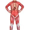 Anatomical Model Costume For Kids