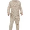 Plus Size Men's Mummy Costume