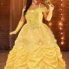 Plus Size Premium Belle Costume