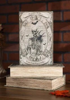 Set Of Three Fright Night 9" Book Boxes Decoration -Halloween Night Deals Store set of three 9 fright night book boxes alt 2