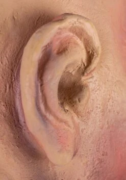 Large Open Eye Cut Off Head -Halloween Night Deals Store staring severed head alt 4