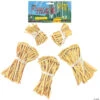 Wizard Of Oz Scarecrow Straw Kit