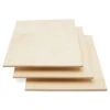Woodpeckers Crafts, DIY Unfinished Plywood 1/4" X 12" X 9", Pack Of 12